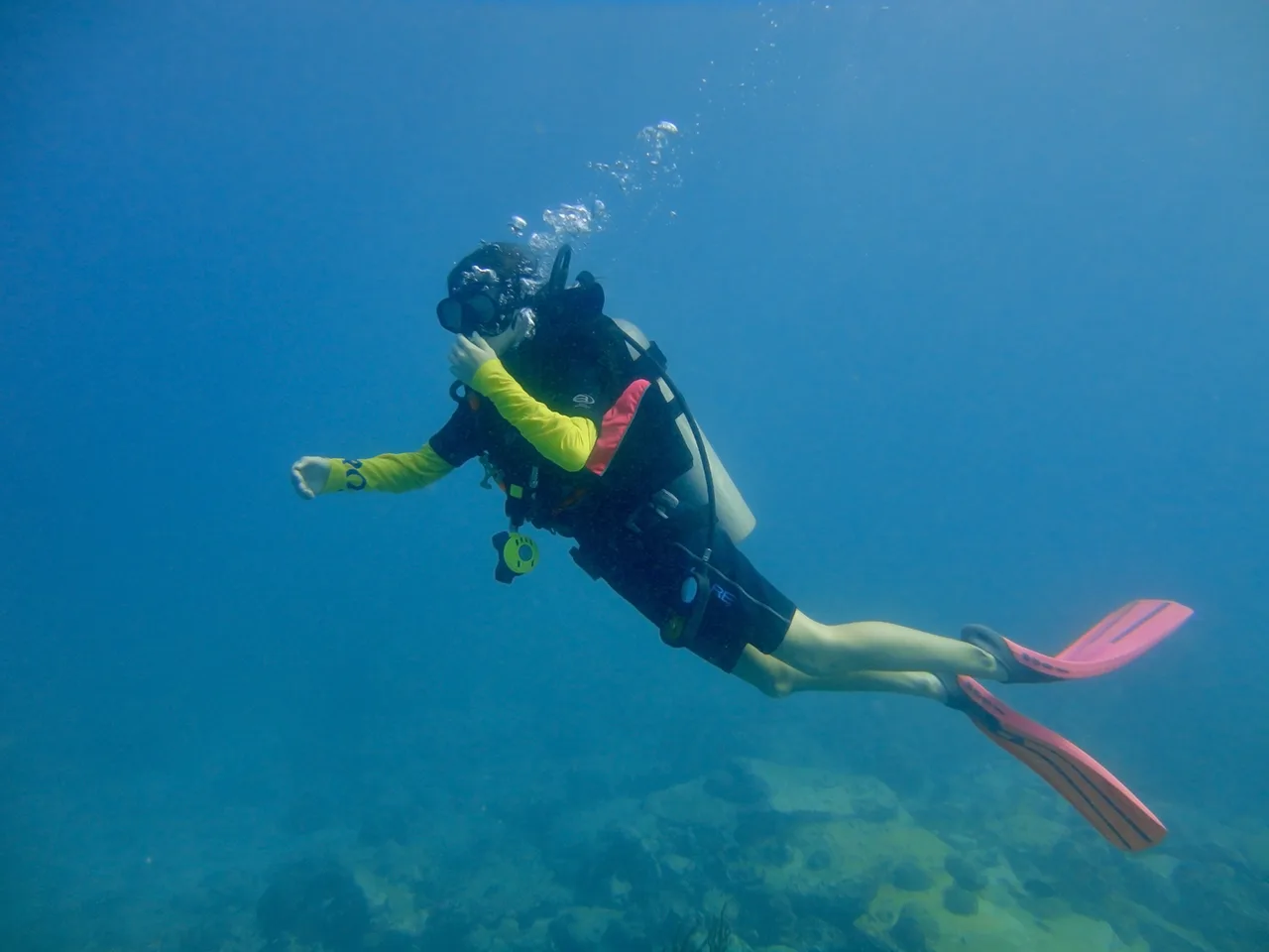 Así es un Discovery